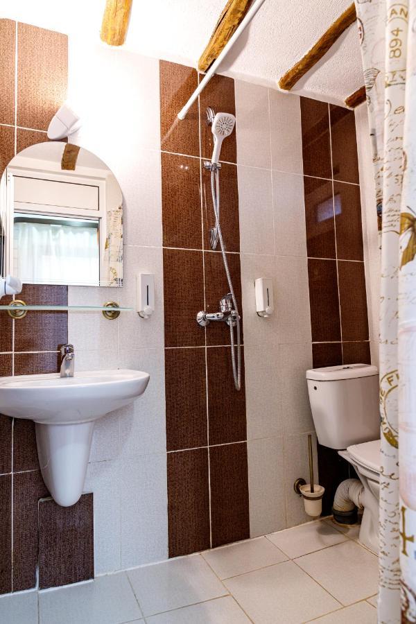 Villa Gamma Pavel Banja Exteriör bild