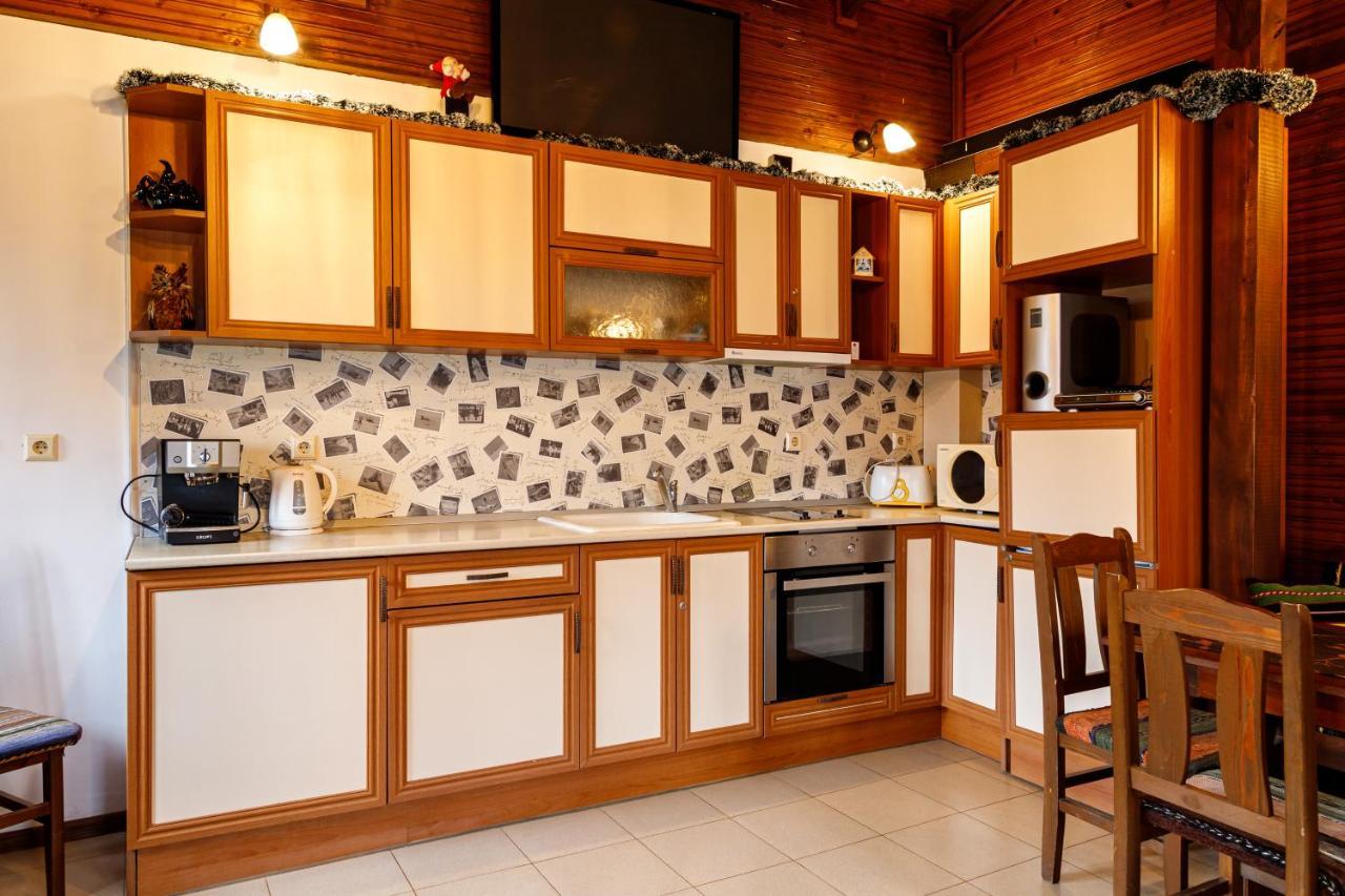 Villa Gamma Pavel Banja Exteriör bild